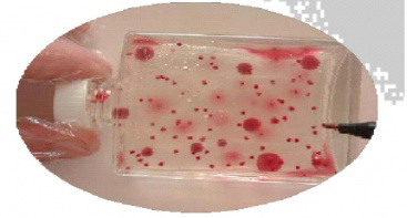 Microbial Test Kits
